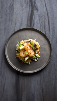 Can you really cook shrimp 61
