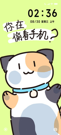 三花猫偷看手机