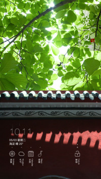  好评返现 清凉一夏(动态效果+清新自然)