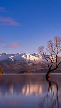 Why did wanaka outshine queenstown