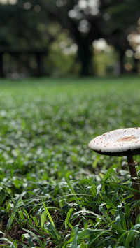 photo-1561304067-978a6976f2bb