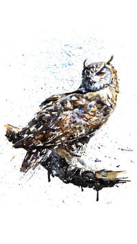 Wild Oil Painting