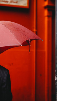 Under Umbrella (1)