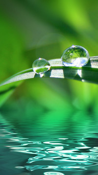 世界节水日