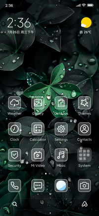 A green leaf
