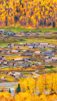 Village autumn scenery 52