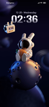 Star Bunny Dynamic