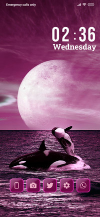 Bowhead Whale