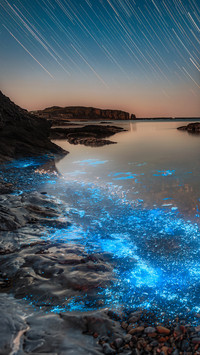 Blue tears light up the coastline