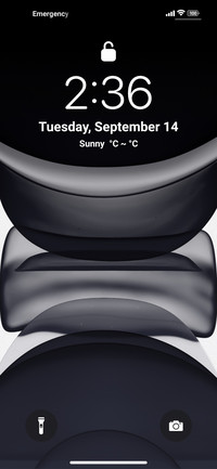 Realiox 13_Dual