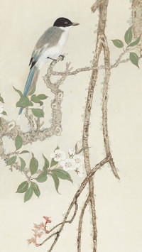 墨画梨花
