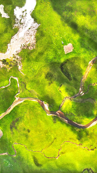 Aerial photography of Guomang Wetland Park