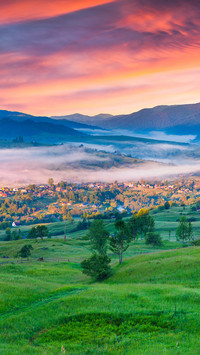 Scenery