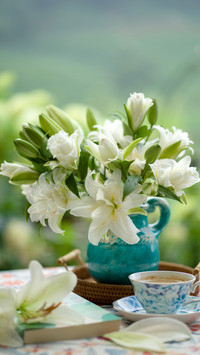 Elegant white lilies