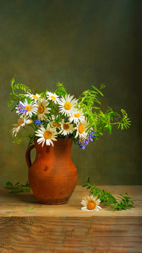 Still life with a bouquet of daisies