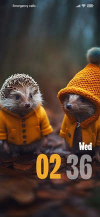 Hedgehog
