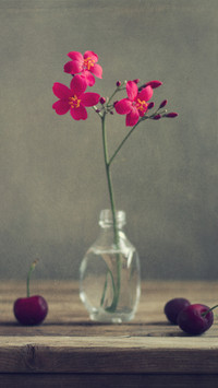 How to learn flower arrangement 4