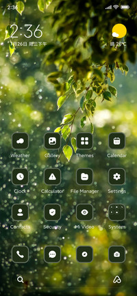 Rain
