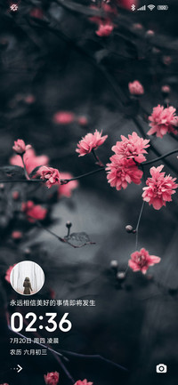 稳了