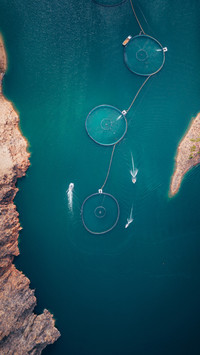 Lost in the blue romance of xinjiang 2