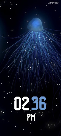 jellyfish