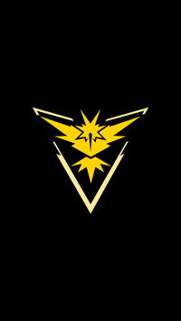 Team instinct black and yellow