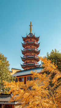 安逸而文雅的都市