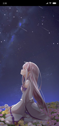 花丛仙子观星