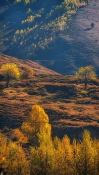 Autumn Scenery On Earth