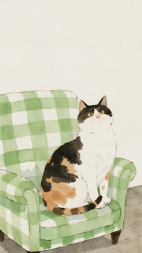 萌萌小猫来也