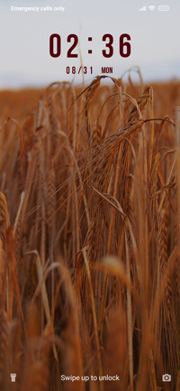Agriculture - Field_3MDS