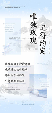 唯独玫瑰记得约定