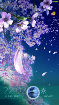 最美的夜