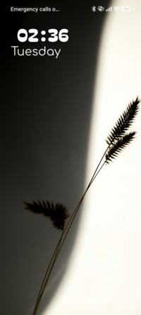 Mono Vase