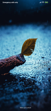 Rainy fi