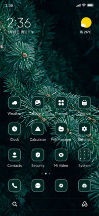 Pine tree