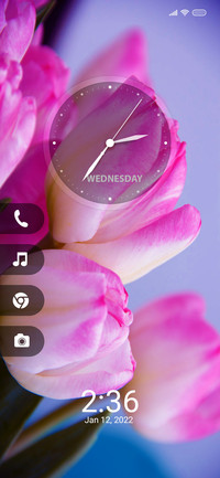 Tulips for
