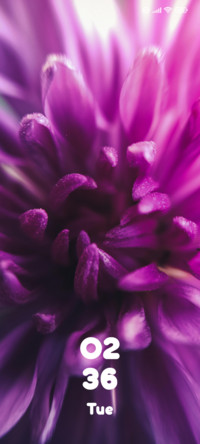Colorful Flower