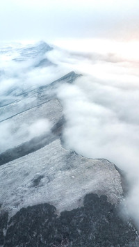 VCG211183209602