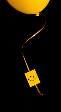 Yellow (23)