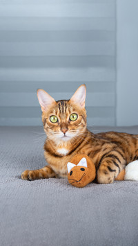 A Playful Cat Lies on a Blanket with a Plush Soft Mouse