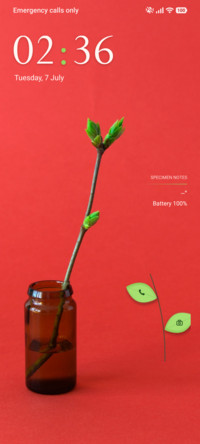 Botanical Grace