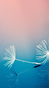 LovePik-plant (4)