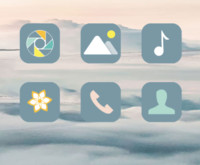 境