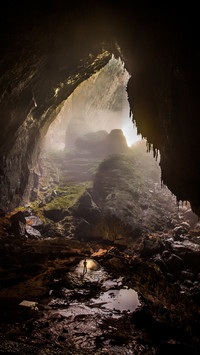 Endogenous river rainforest