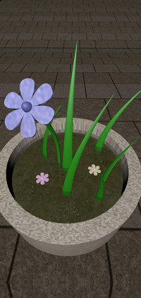 悠悠小池塘