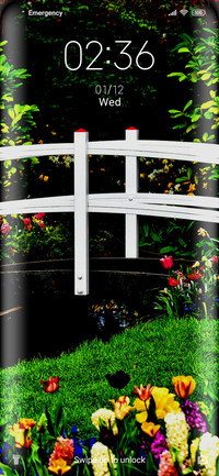 Bridge_Wooden
