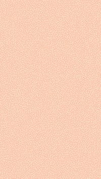 Turing Pattern Peach