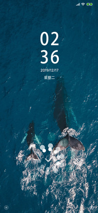 whale