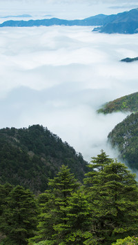 The sea of clouds is not just clouds